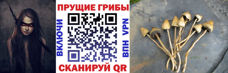 Псилоцибиновые грибы прущие грибы  Амурск 